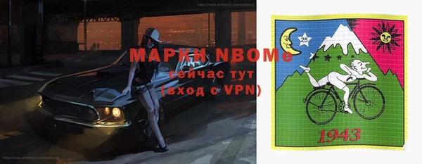 крисы Белокуриха