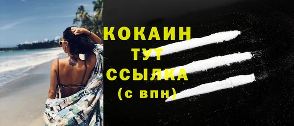 крисы Белокуриха