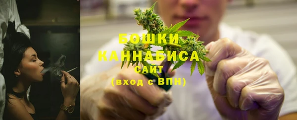 крисы Белокуриха