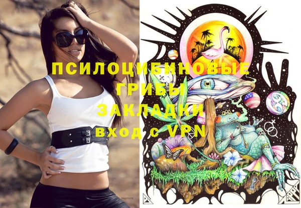 крисы Белоозёрский