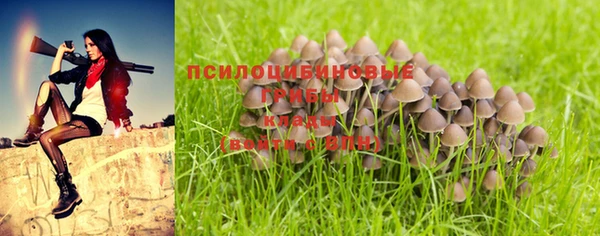крисы Белокуриха