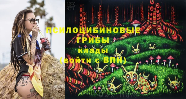 крисы Белокуриха
