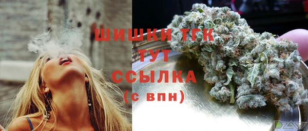 крисы Белокуриха