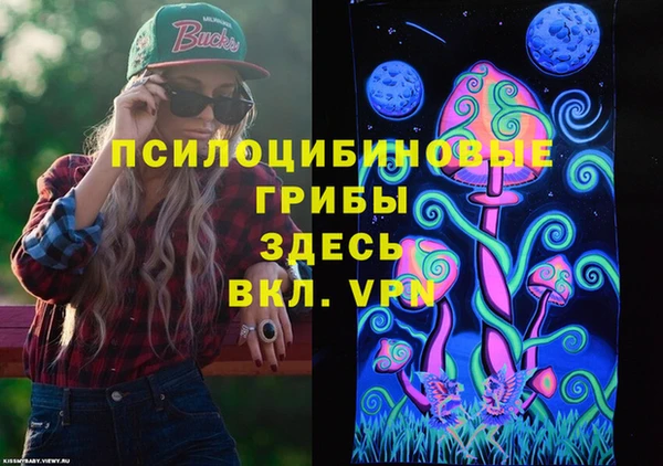 крисы Белокуриха