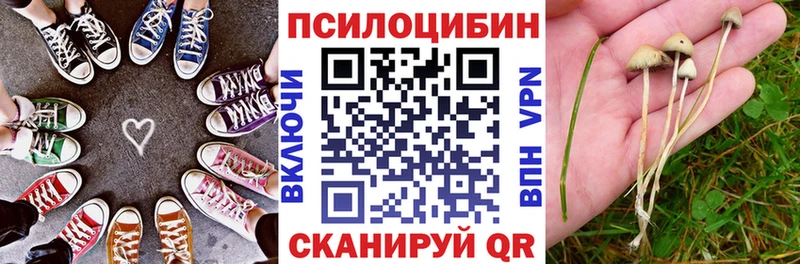 Псилоцибиновые грибы прущие грибы  Пикалёво 